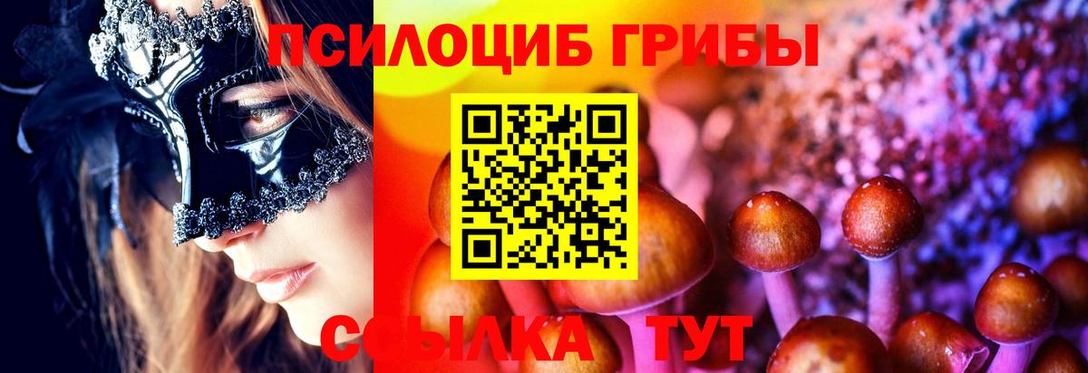 Галлюциногенные грибы прущие грибы Барабинск