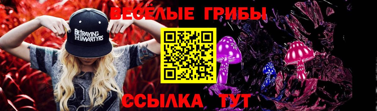 Барабинск  Псилоцибиновые грибы Psilocybe  Вход с VPN 